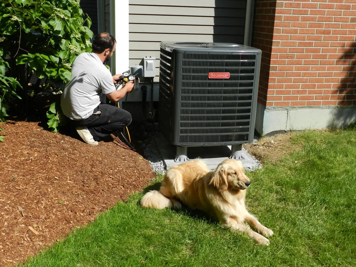 A.J. LeBlanc Heating technician checking refrigerant pressure with manifold gauges on a Goodman outdoor condenser at a Southern NH home with a golden retriever lying in the foreground